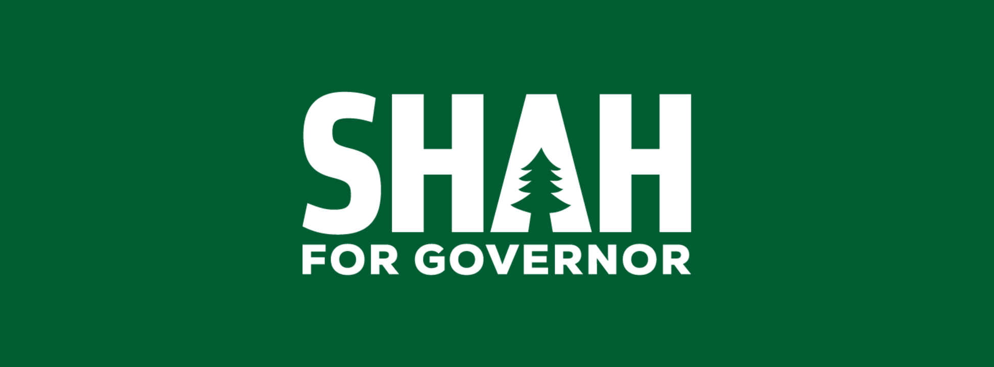 Nirav Shah for Governor